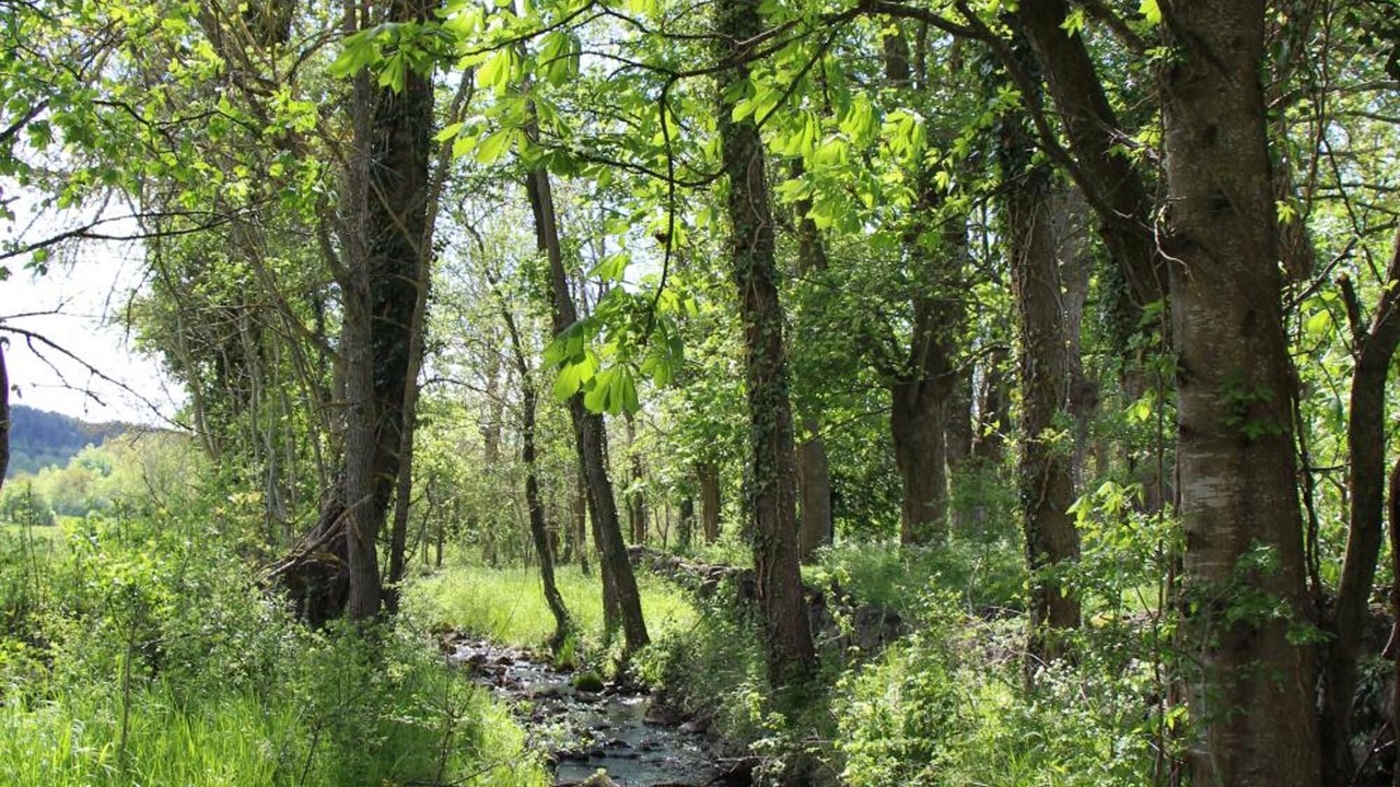 Photo of Outdoor in Polignac