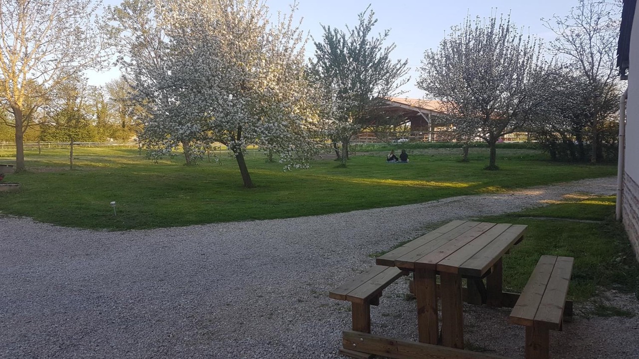 Photo of Outdoor in Saint-Trivier-sur-Moignans