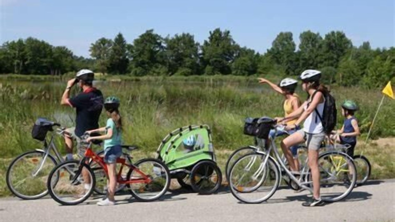 Photo of Others in Saint-Trivier-sur-Moignans