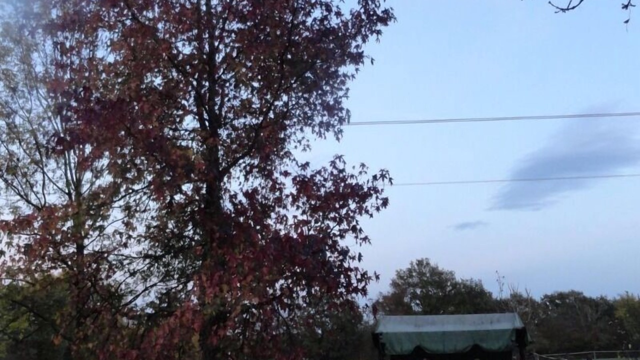 Photo of Outdoor in Saint-Trivier-sur-Moignans