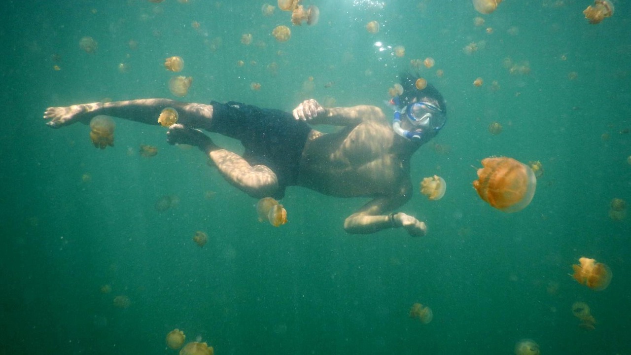 Photo of Others in Maratua Island