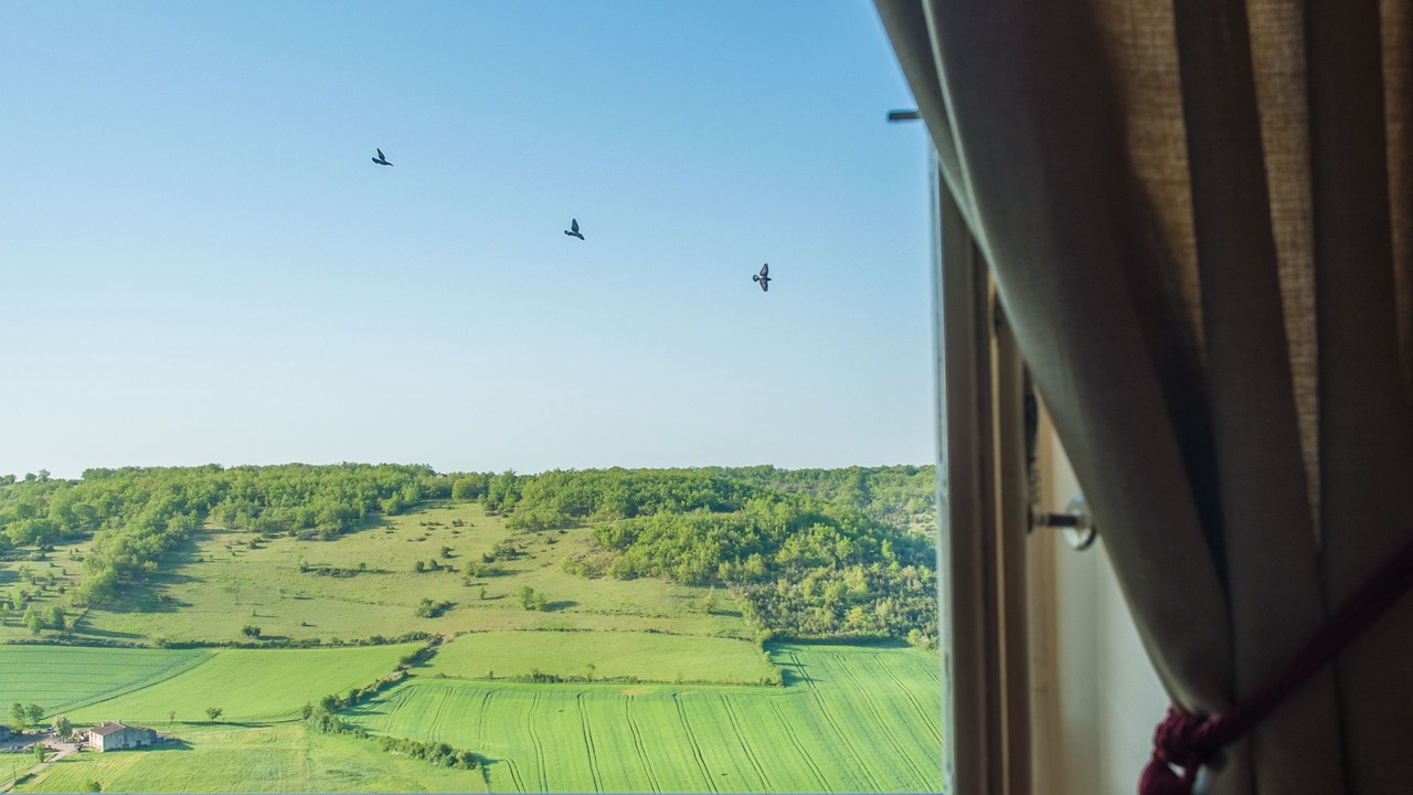 Photo of Bedroom in Cordes-sur-Ciel