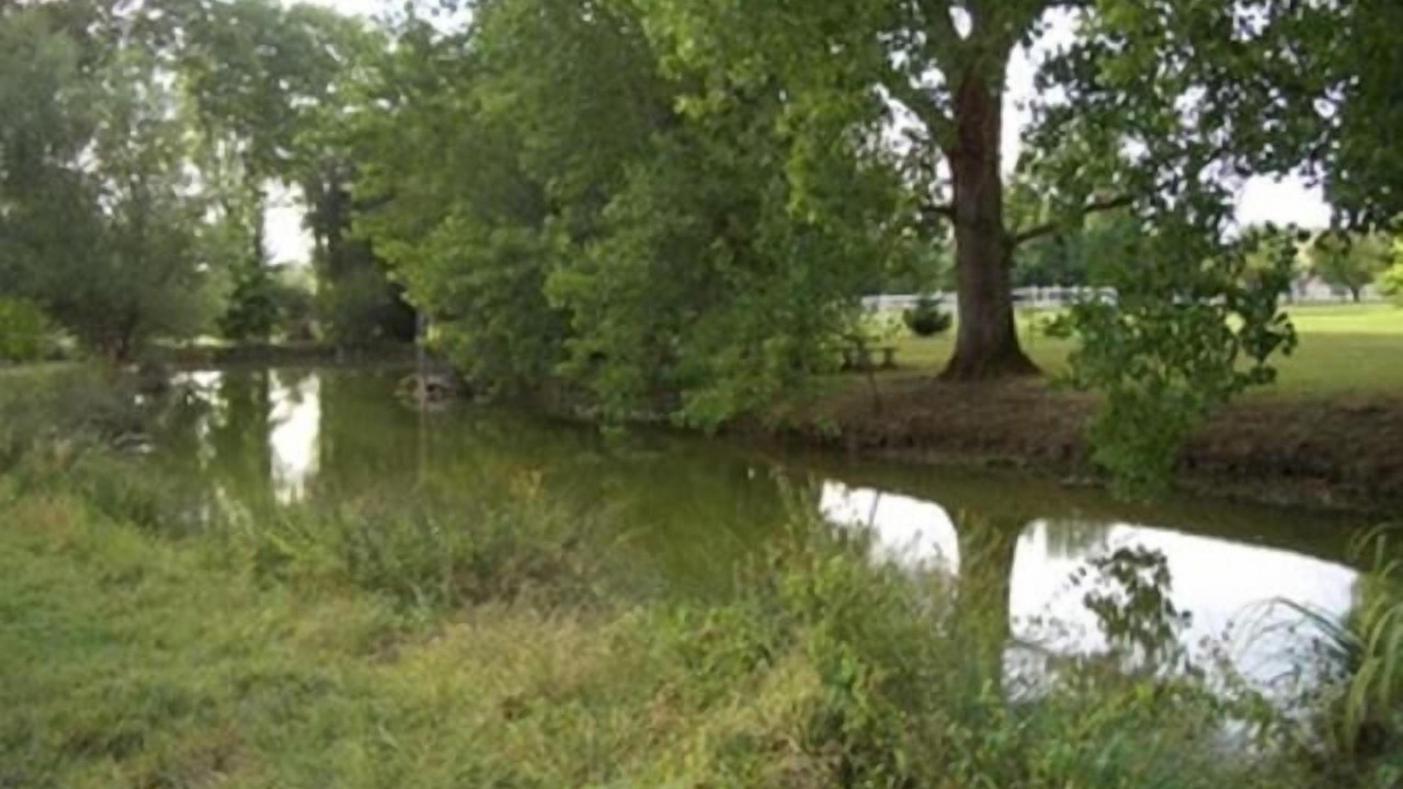Photo of Outdoor in Lafrancaise
