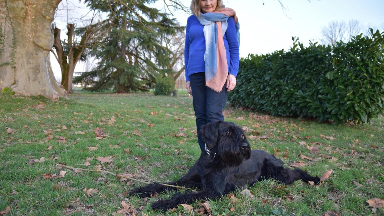 Photo of Outdoor in Lafrancaise