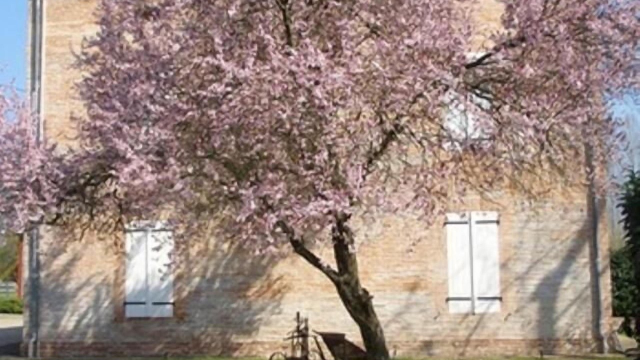 Photo of Outdoor in Lafrancaise