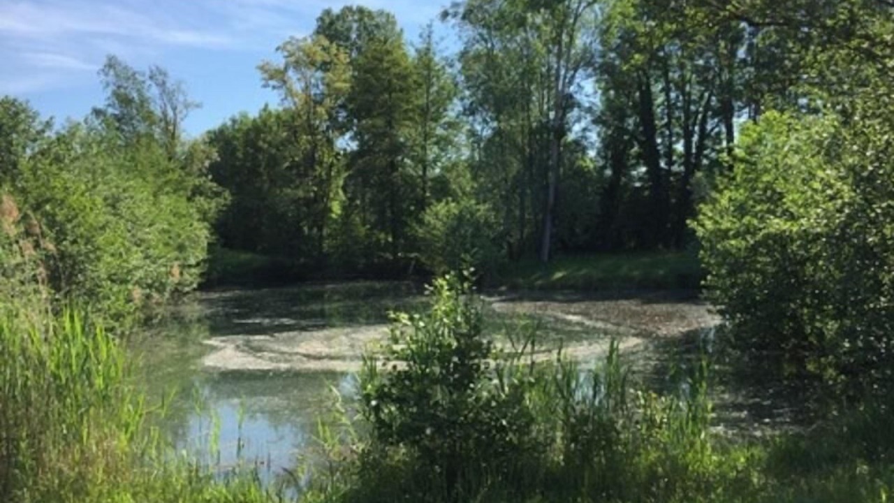 Photo of Outdoor in Belley