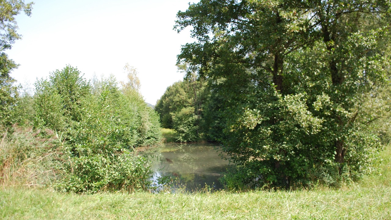 Photo of Others in Belley