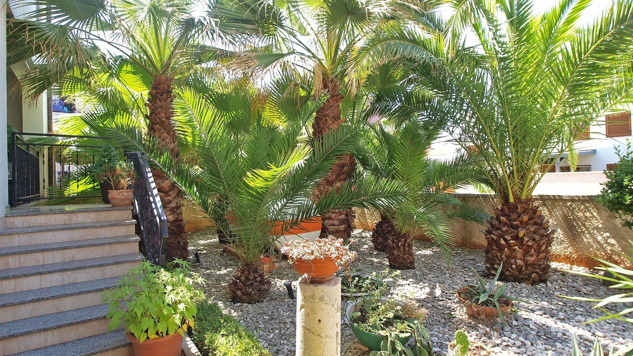Photo of Outdoor in Valbandon