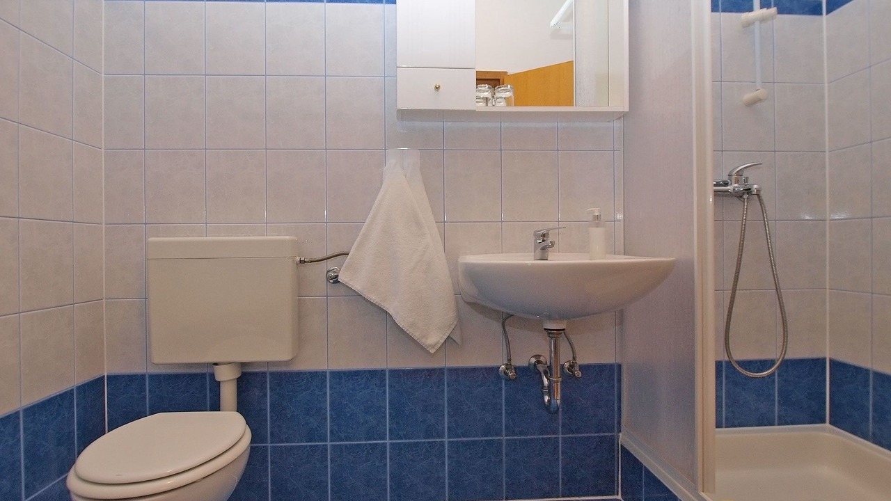 Photo of Bathroom in Valbandon