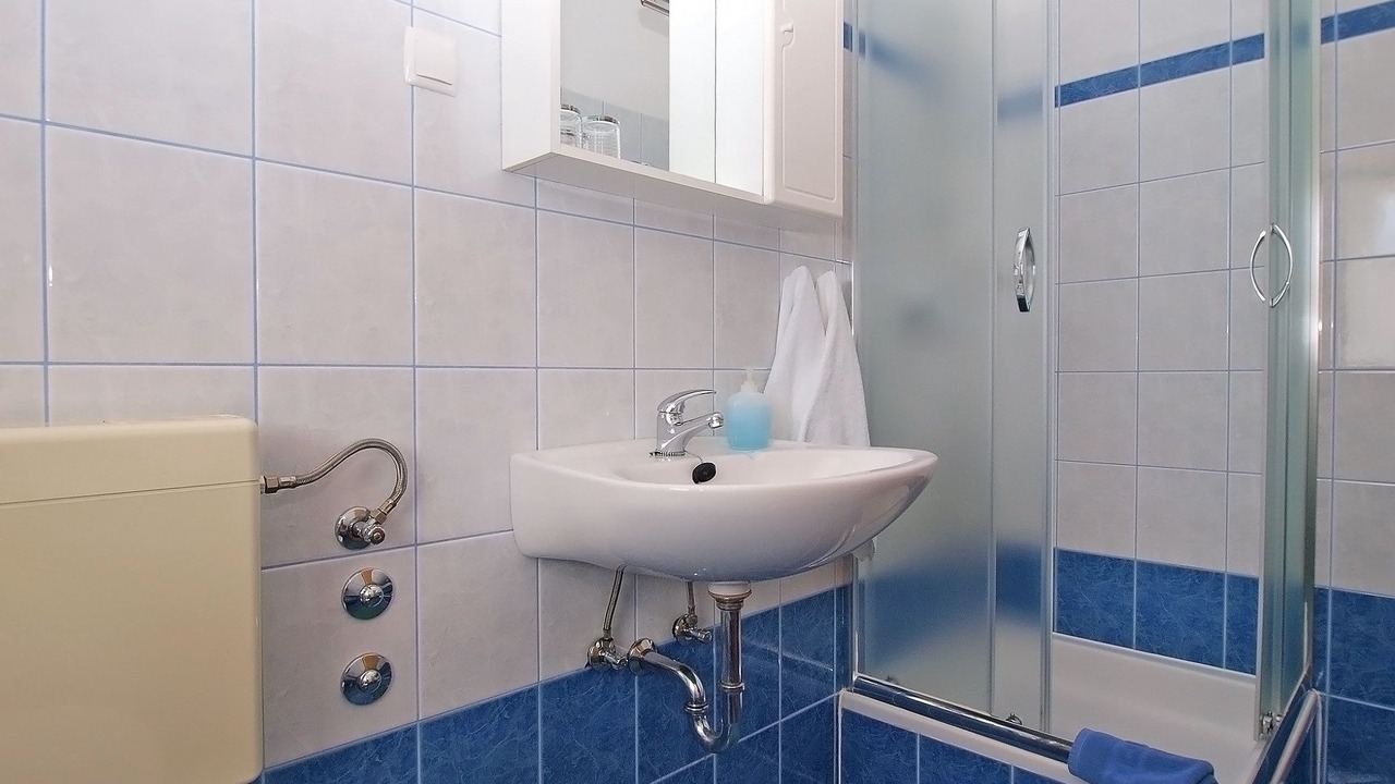 Photo of Bathroom in Valbandon