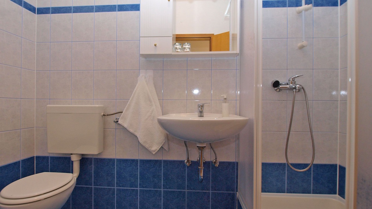 Photo of Bathroom in Valbandon