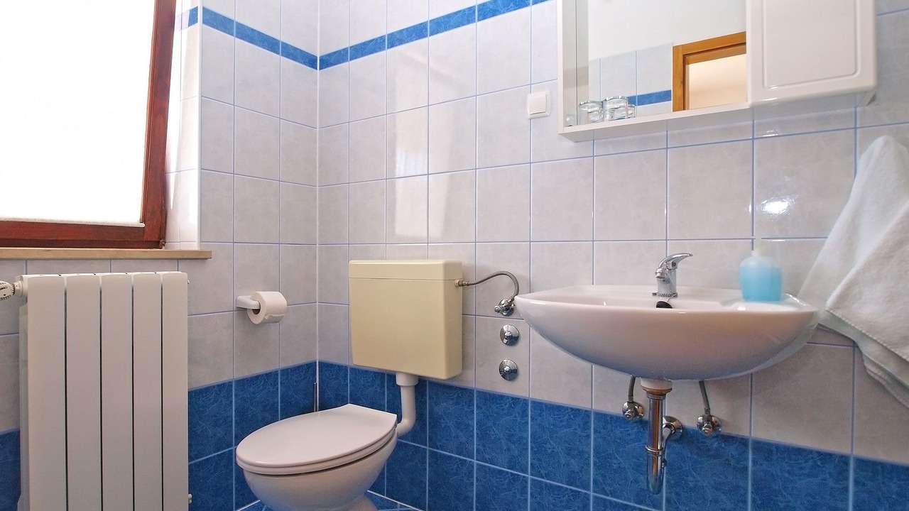 Photo of Bathroom in Valbandon