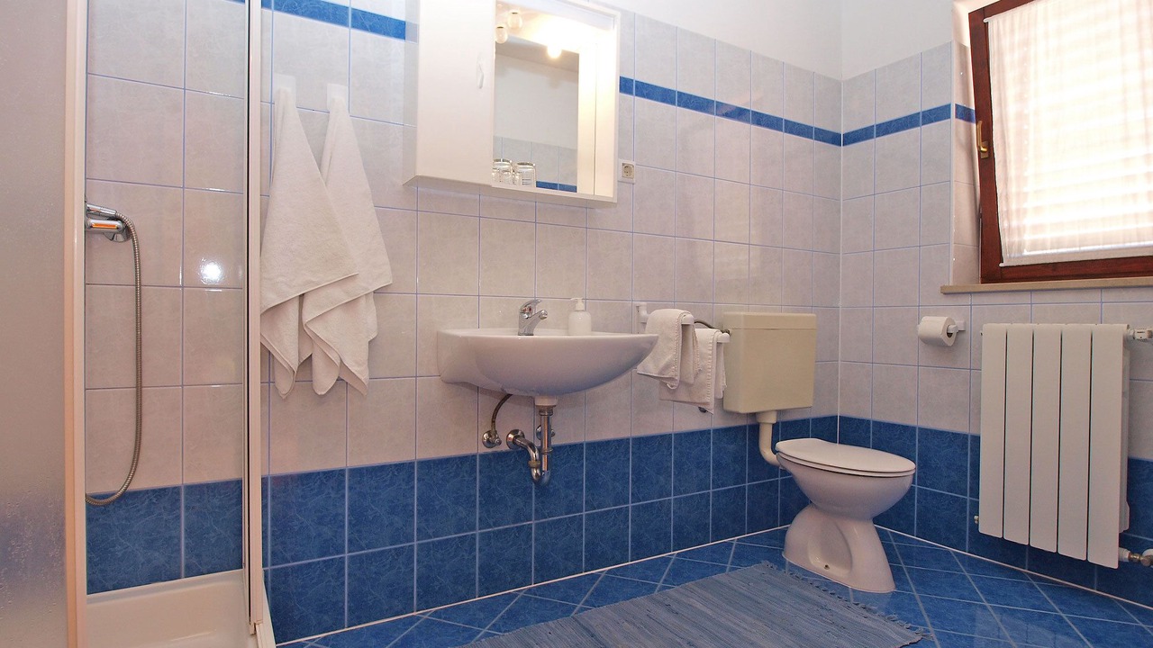 Photo of Bathroom in Valbandon