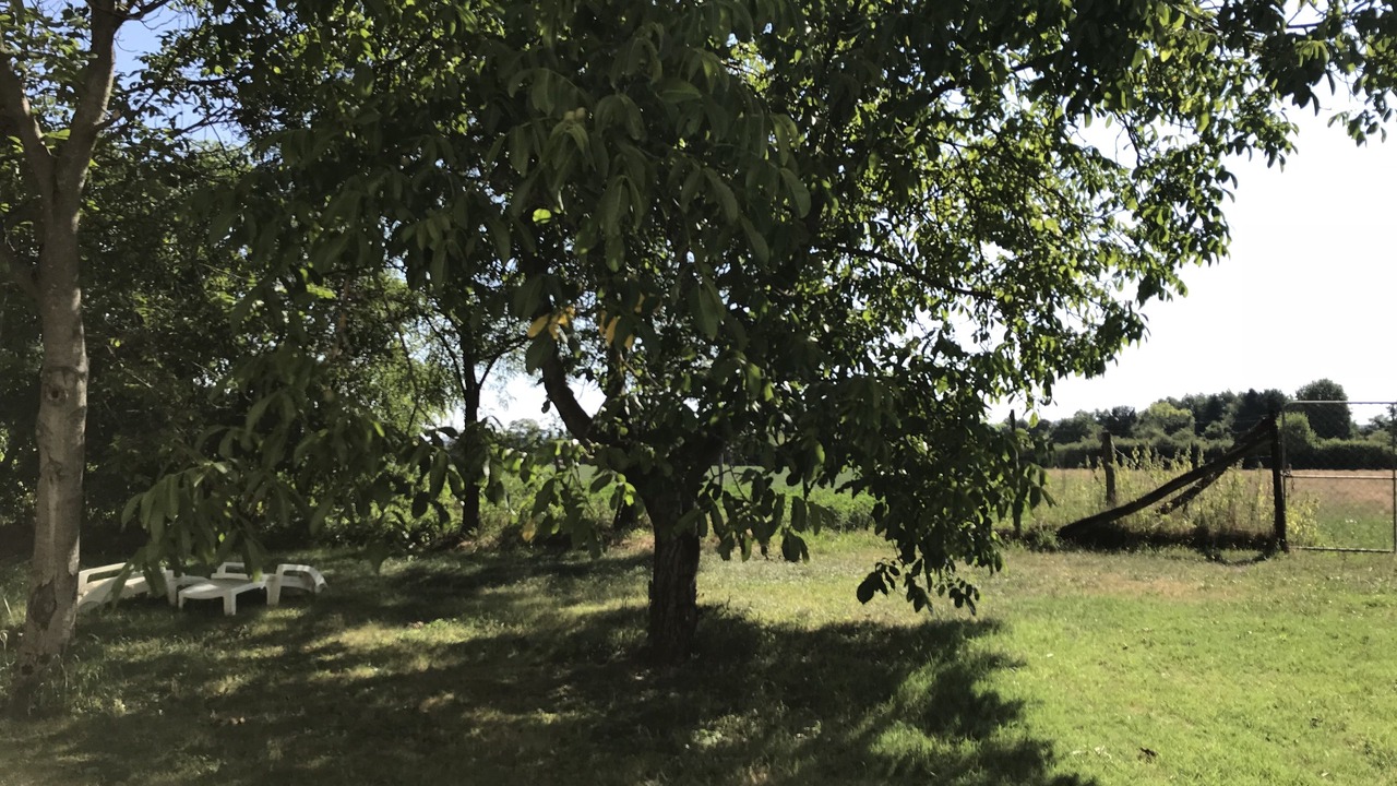 Photo of Outdoor in Commelle-Vernay