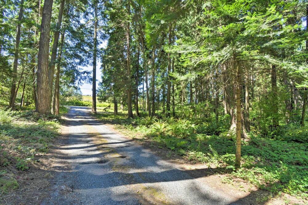 Photo of Others in Sequim