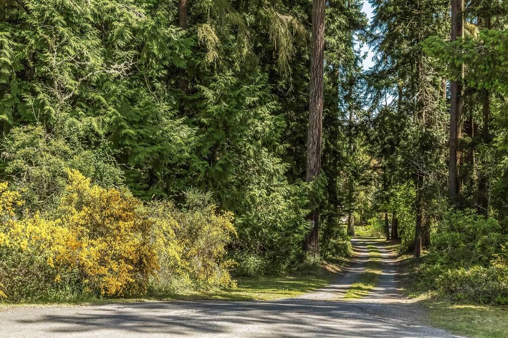 Photo of Outdoor in Sequim