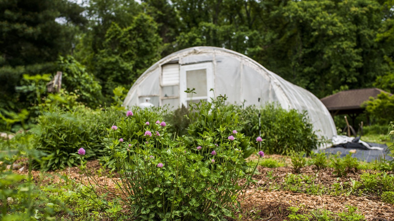 Photo of Outdoor in Historic Montford