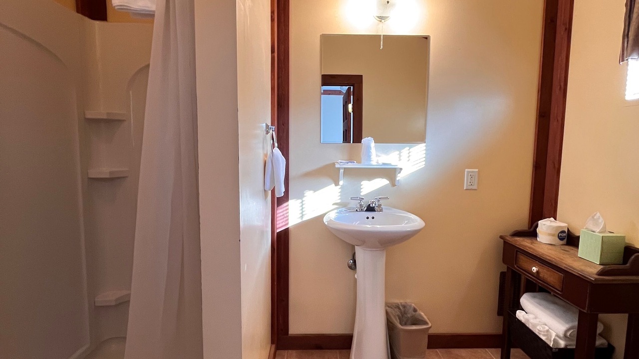 Photo of Bathroom in Honor