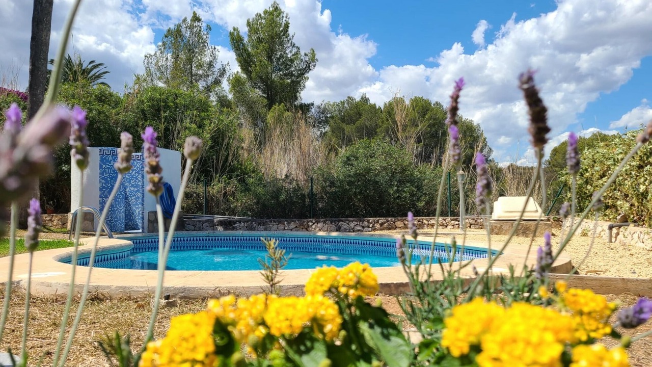 Photo of Outdoor in Oliva