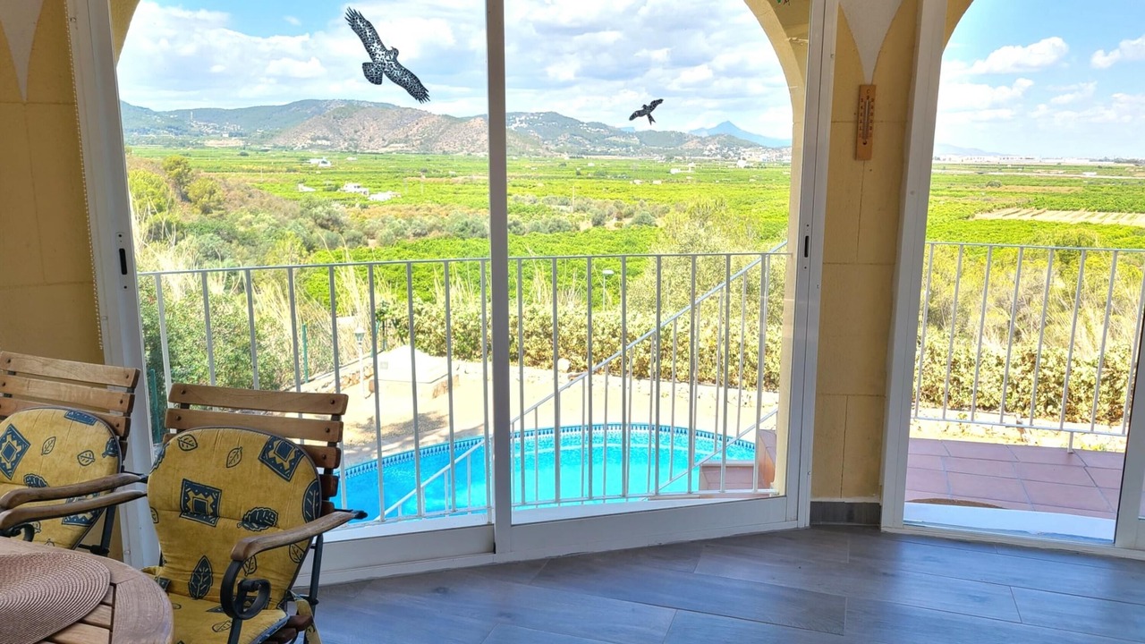 Photo of Outdoor in Oliva