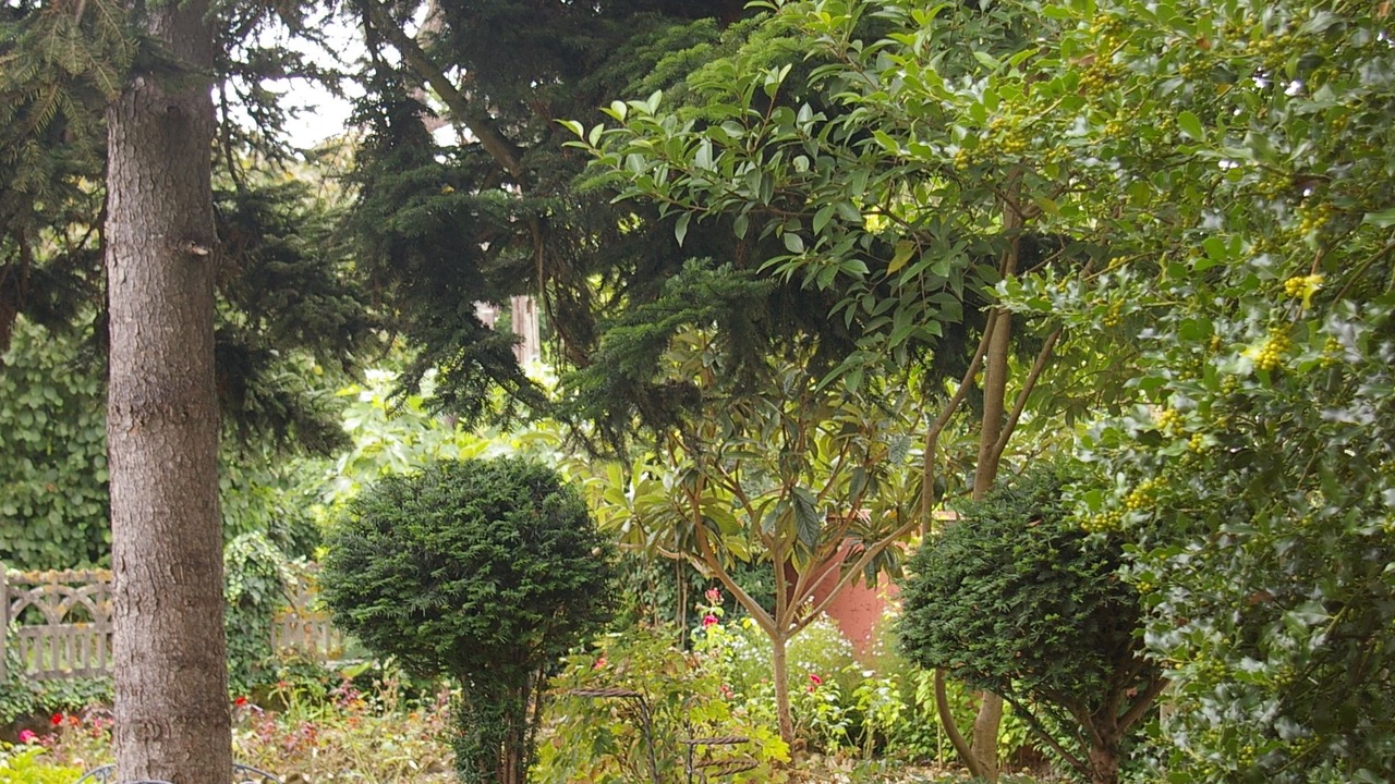 Photo of Outdoor in Valence