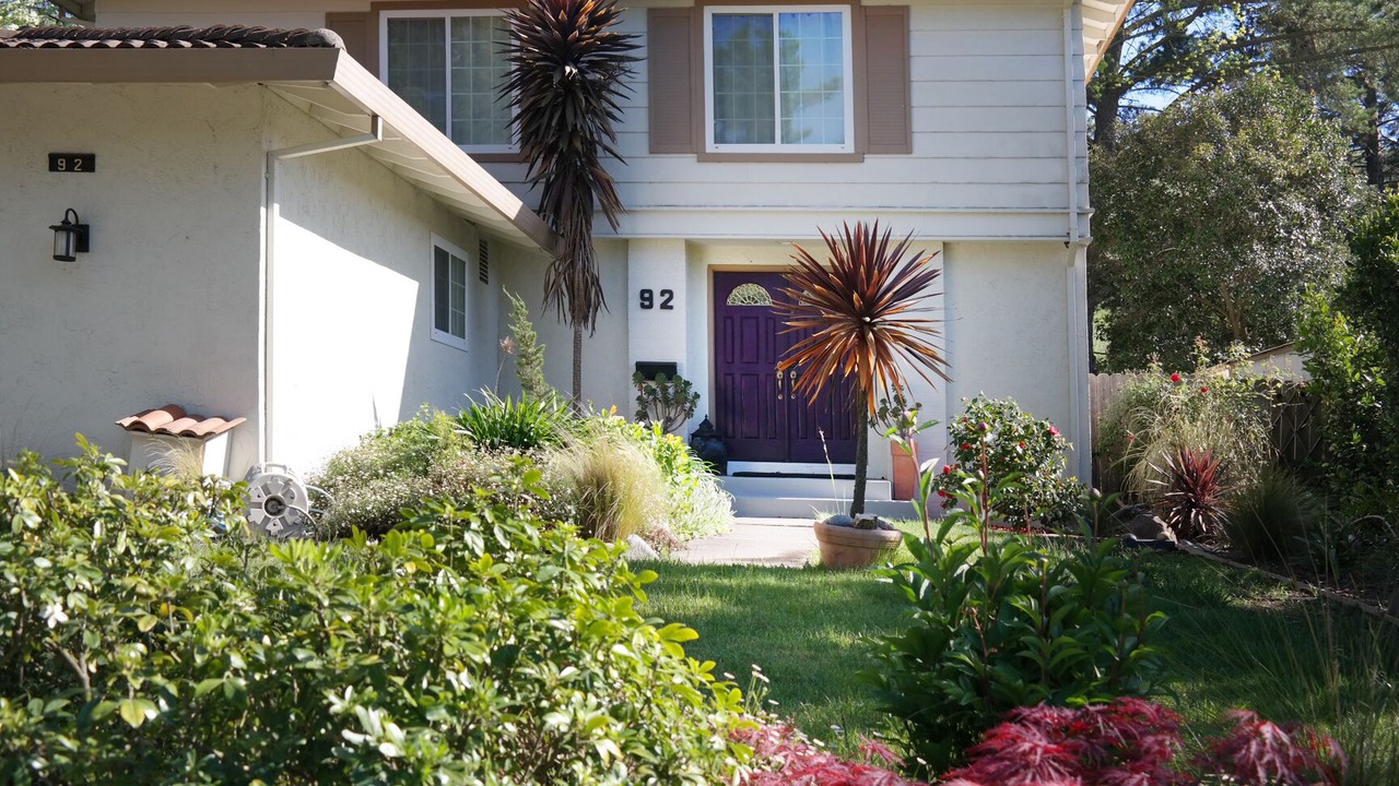 Photo of Outdoor in Moraga