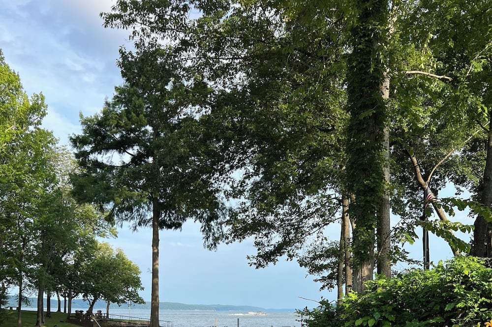 Photo of Outdoor in Counce