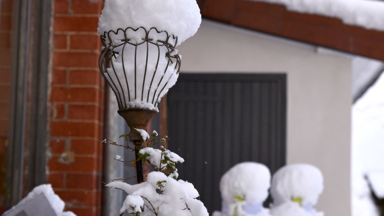 Photo of Others in Balbins