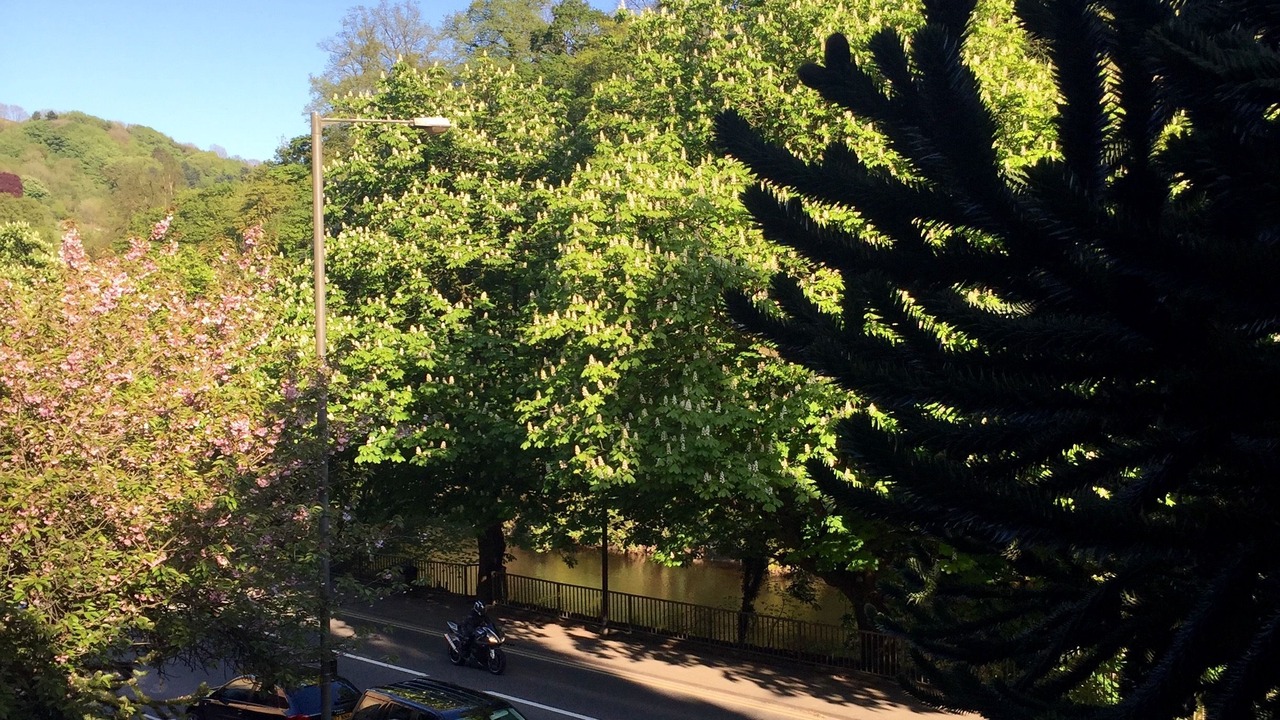 Photo of Others in Matlock Bath