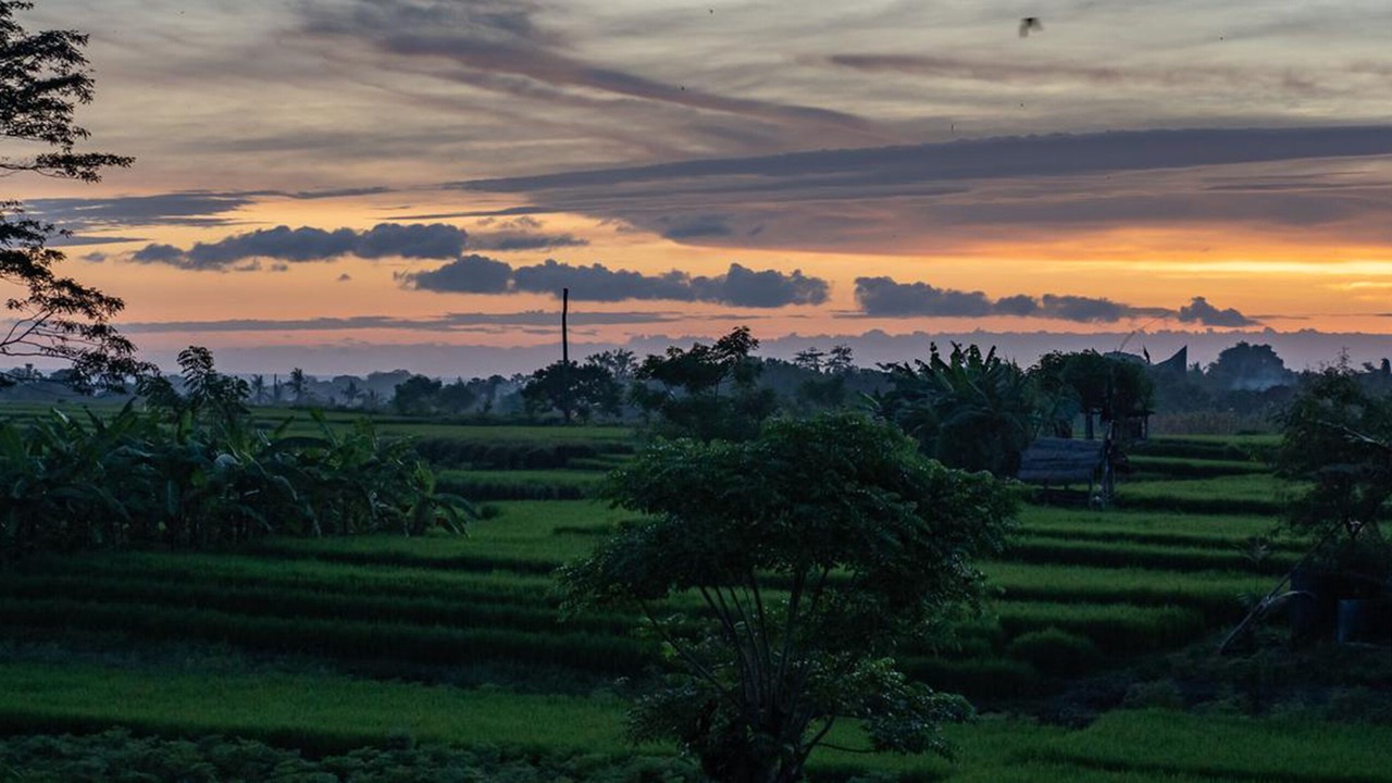 Photo of Outdoor in Dalung