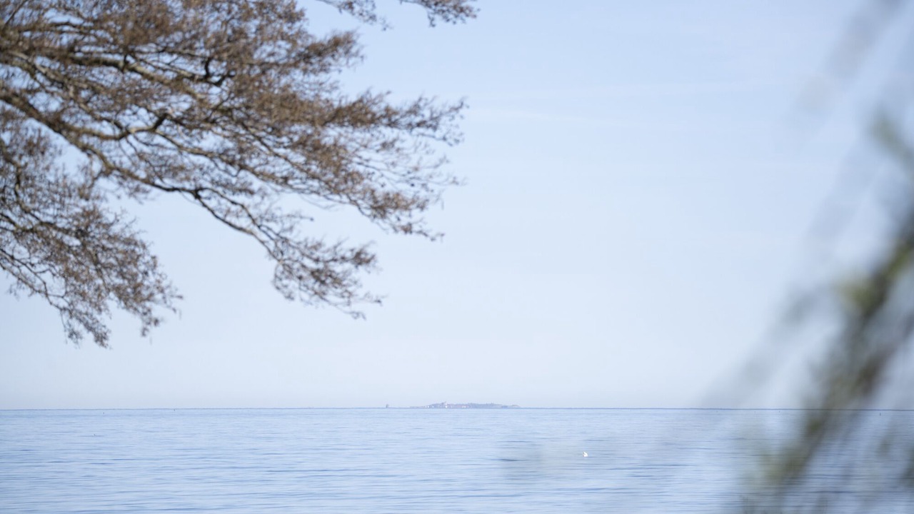 Photo of Others in Gudhjem