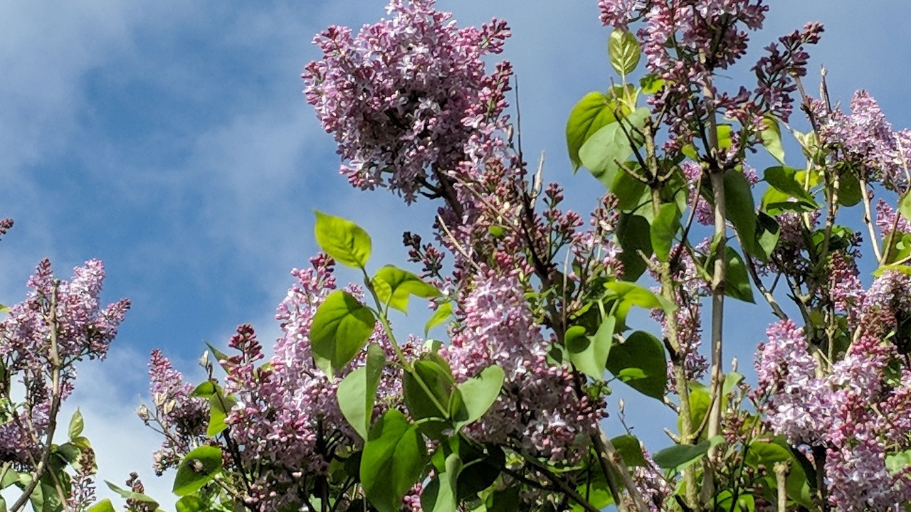 Photo of Others in Barnstaple
