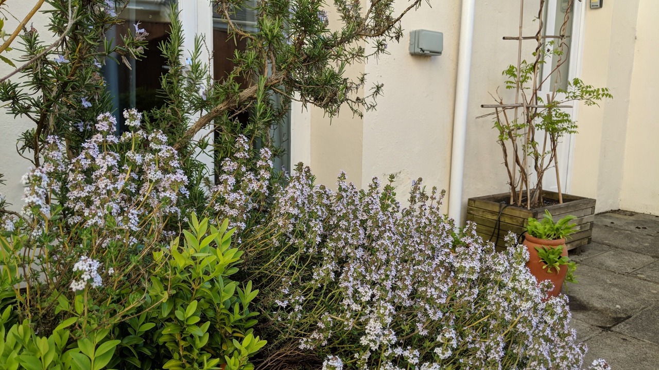 Photo of Outdoor in Barnstaple