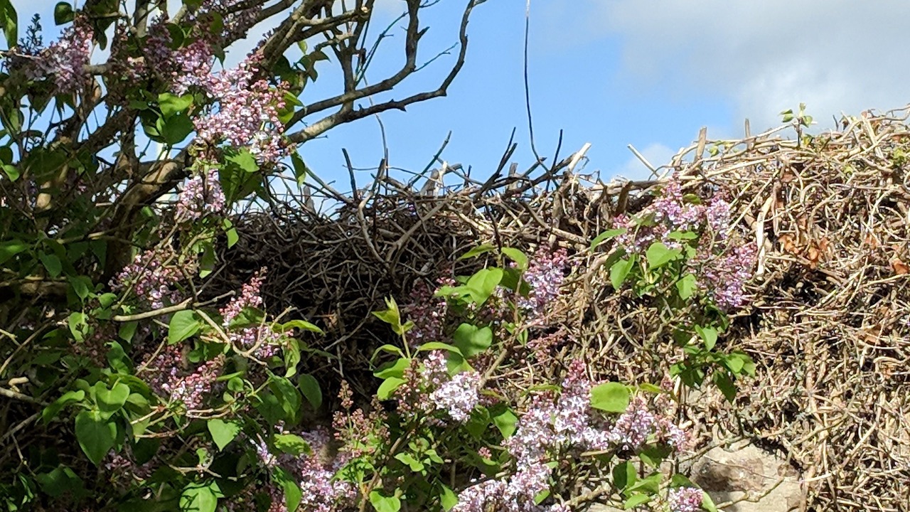 Photo of Outdoor in Barnstaple
