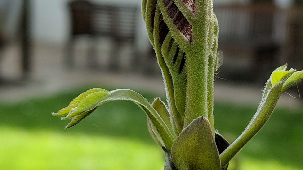 Photo of Others in Barnstaple