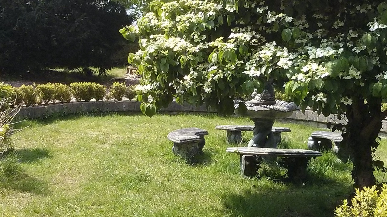 Photo of Outdoor in Barnstaple