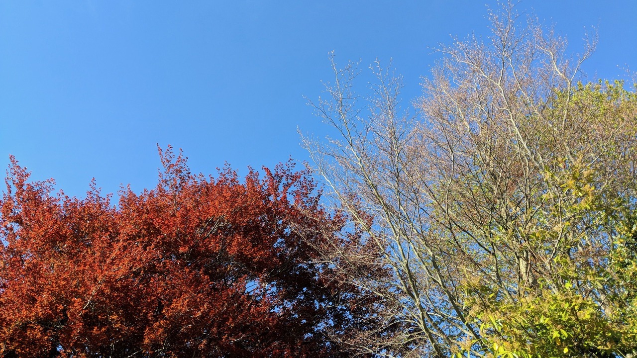 Photo of Outdoor in Barnstaple