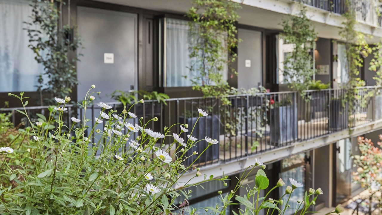 Photo of Patio Balcony in 15th Arrondissement