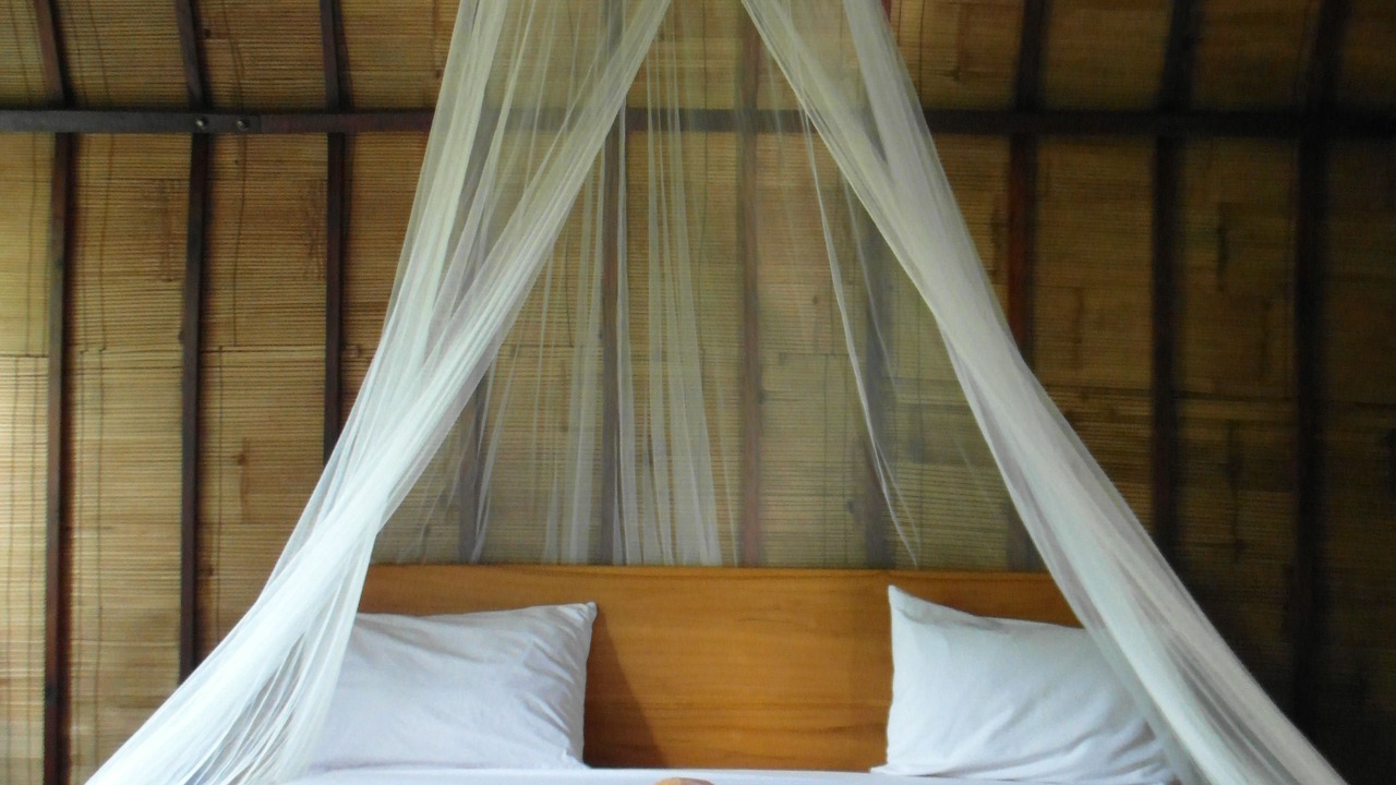 Photo of Outdoor in Gili Trawangan
