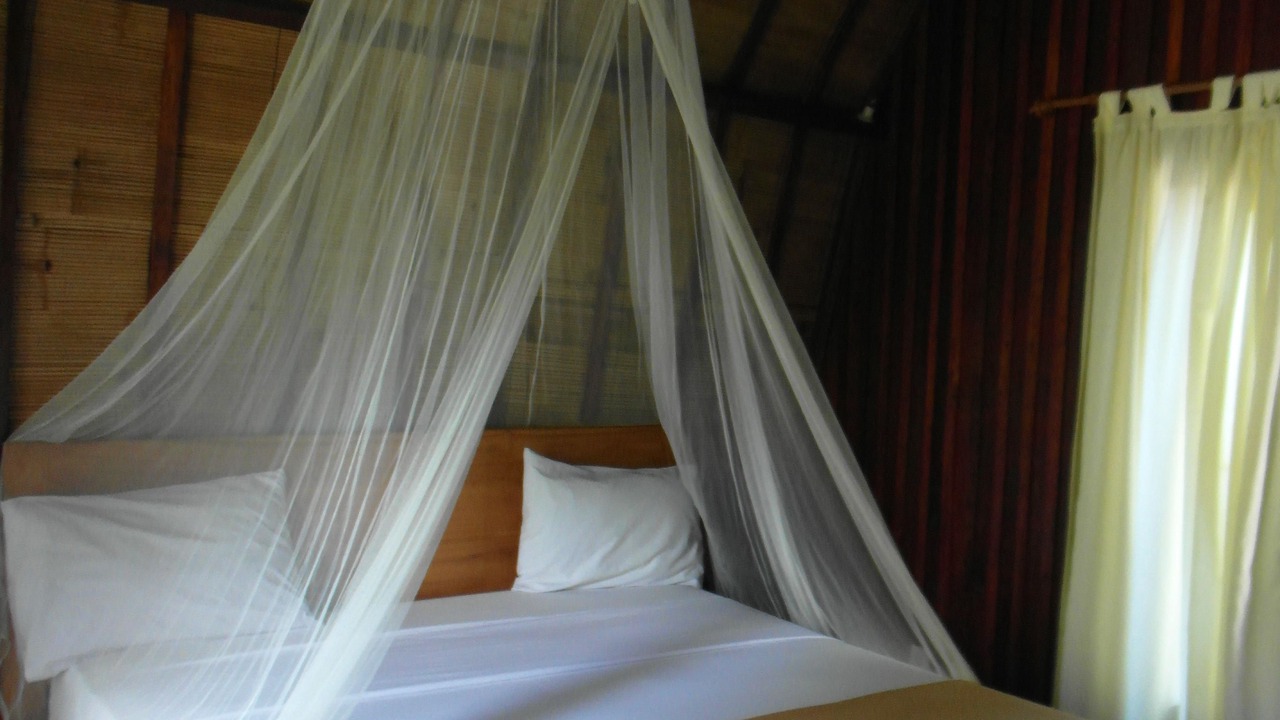 Photo of Outdoor in Gili Trawangan