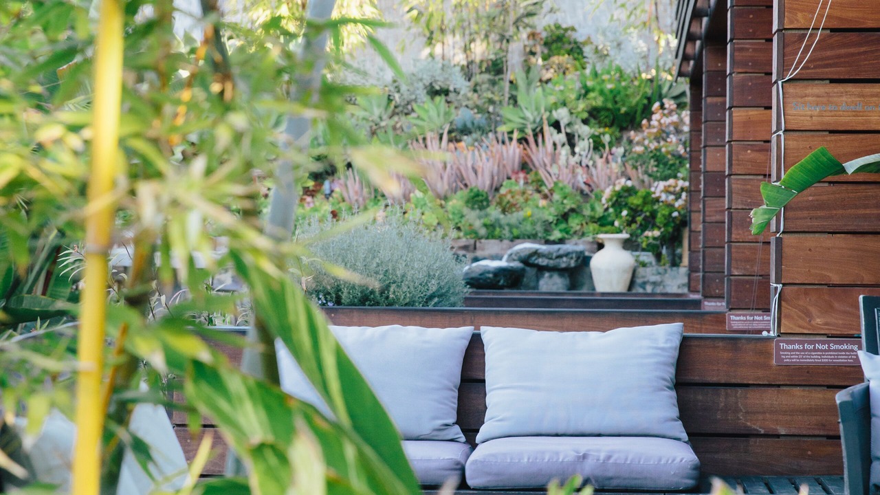 Photo of Outdoor in Encinitas