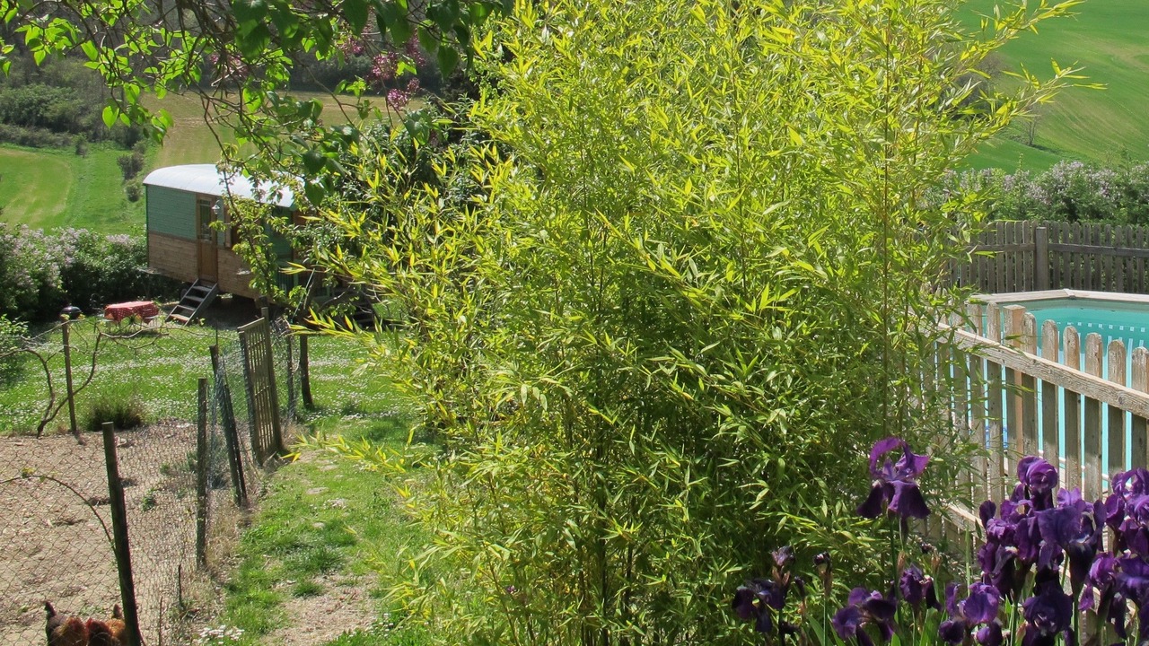 Photo of Outdoor in Montmaur