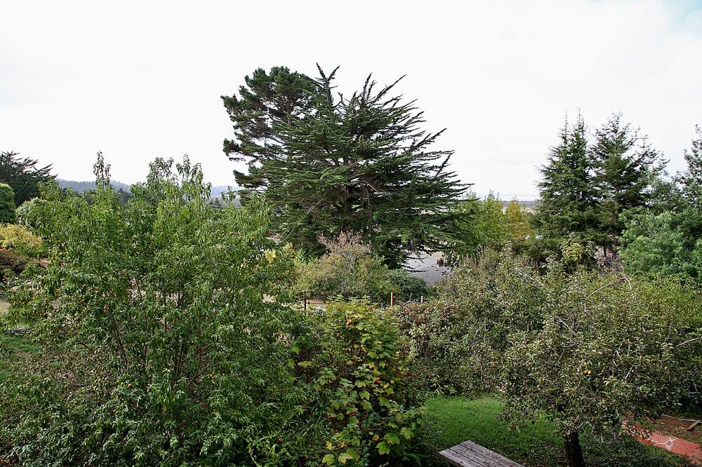 Photo of Outdoor in Jacoby Creek