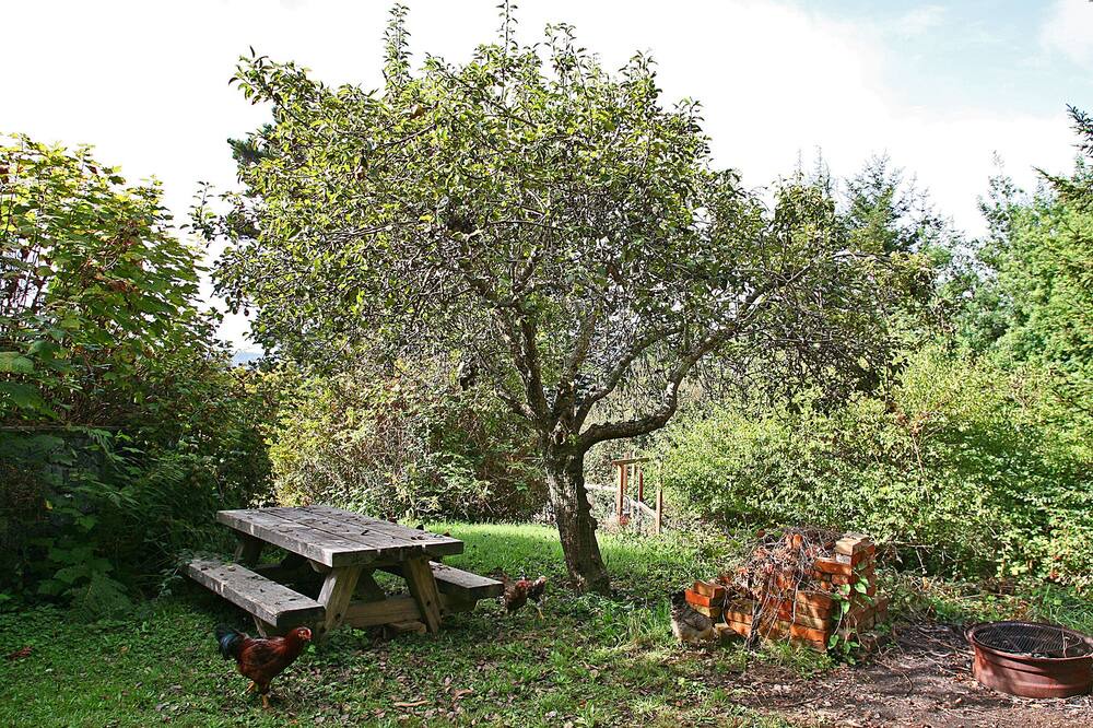 Photo of Outdoor in Jacoby Creek