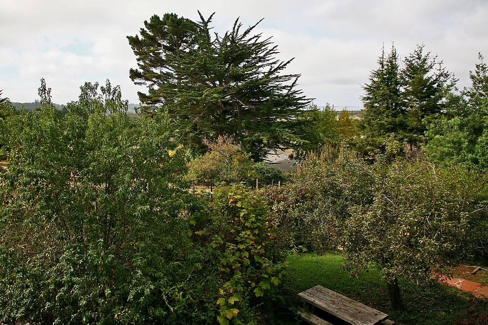 Photo of Outdoor in Jacoby Creek