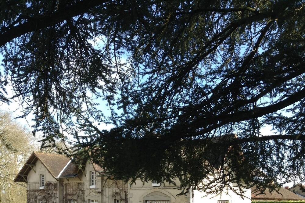 Photo of Outdoor in Saint-Leonard-de-Noblat