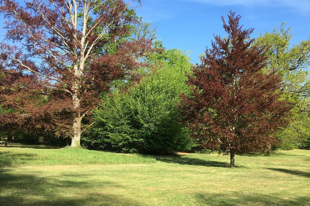 Photo of Outdoor in Saint-Leonard-de-Noblat