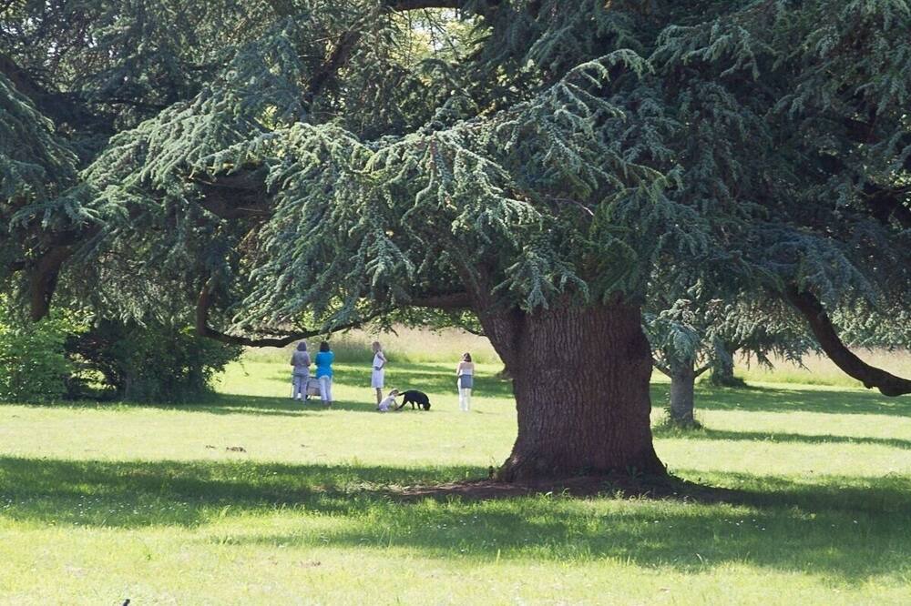 Photo of Outdoor in Saint-Leonard-de-Noblat