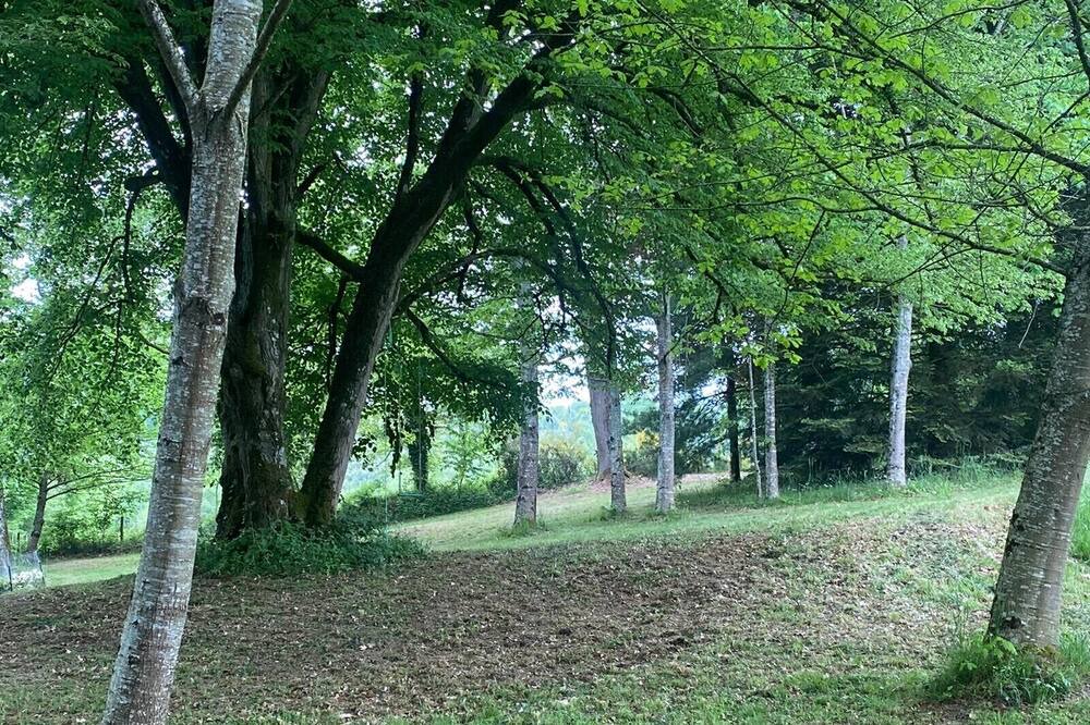 Photo of Outdoor in Saint-Leonard-de-Noblat