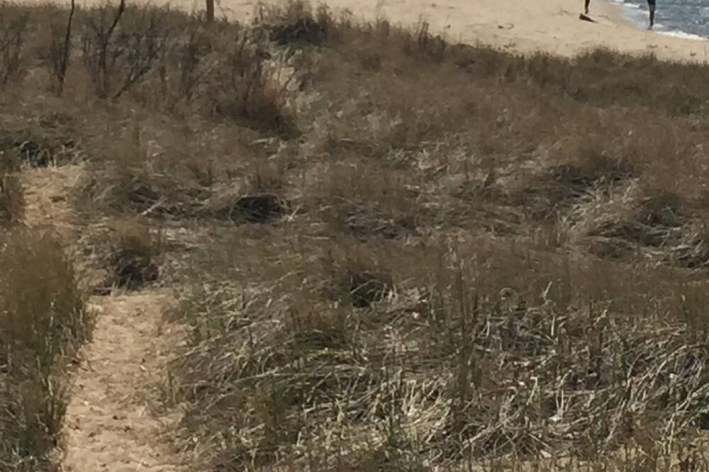 Photo of Outdoor in Douglas